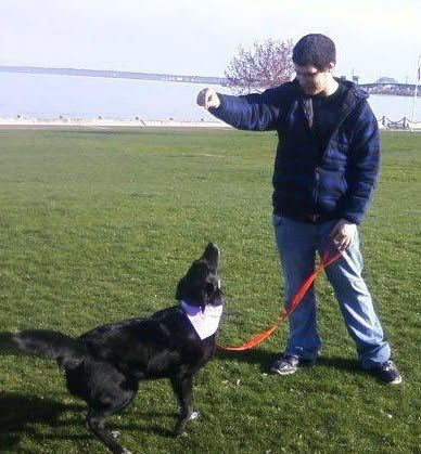 Harper, photo 12